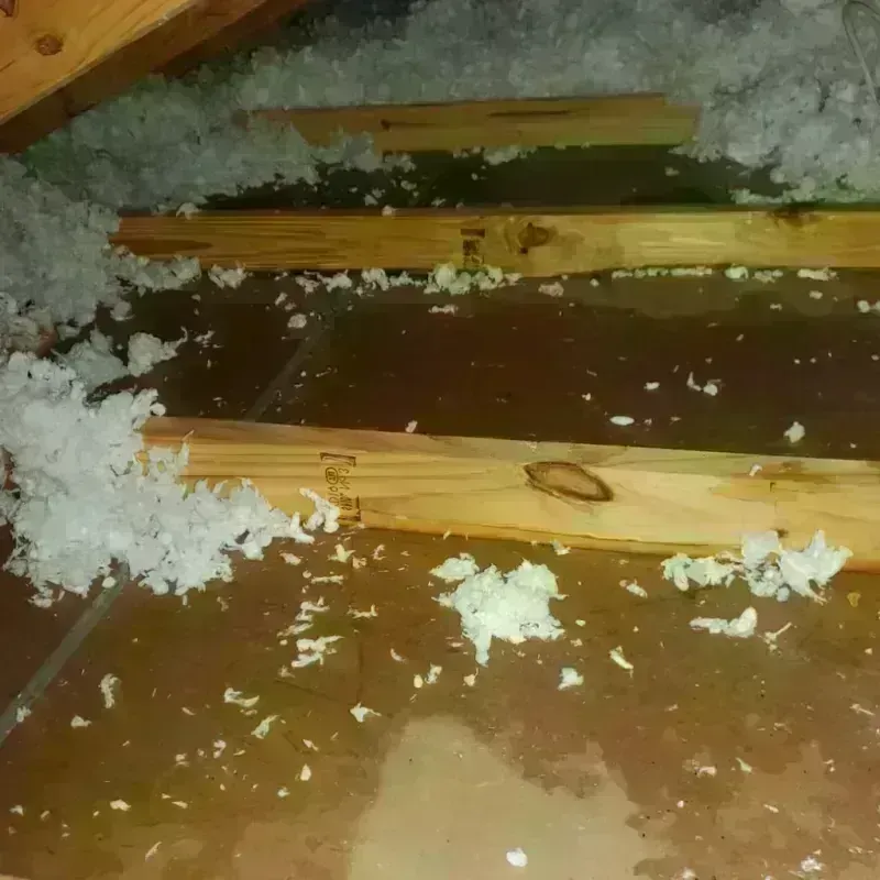 Attic Water Damage in Lake County, CO