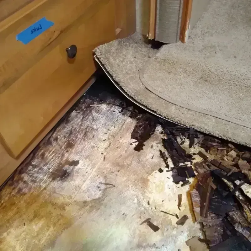 Wood Floor Water Damage in Lake County, CO